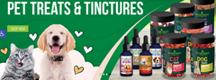 Calm Your Pet, Naturally: CBD Tinctures for Dogs and Cats