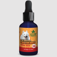 Calm Your Pet, Naturally: CBD Tinctures for Dogs and Cats