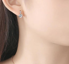 Elagant Small Drop Earring for Women